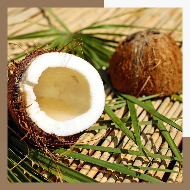 Coconut Soleil Whipped Body Butter